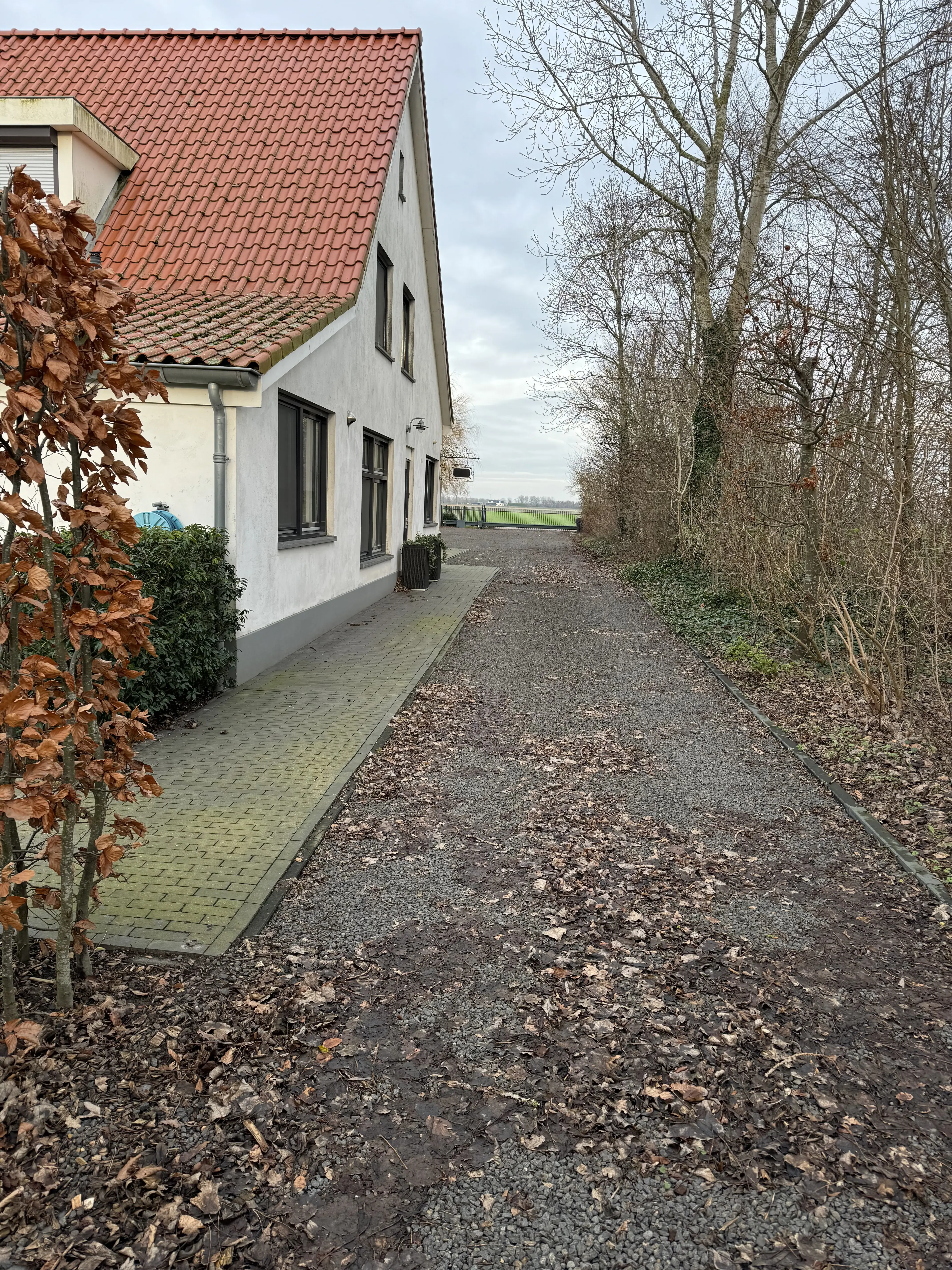 Garden view exterior