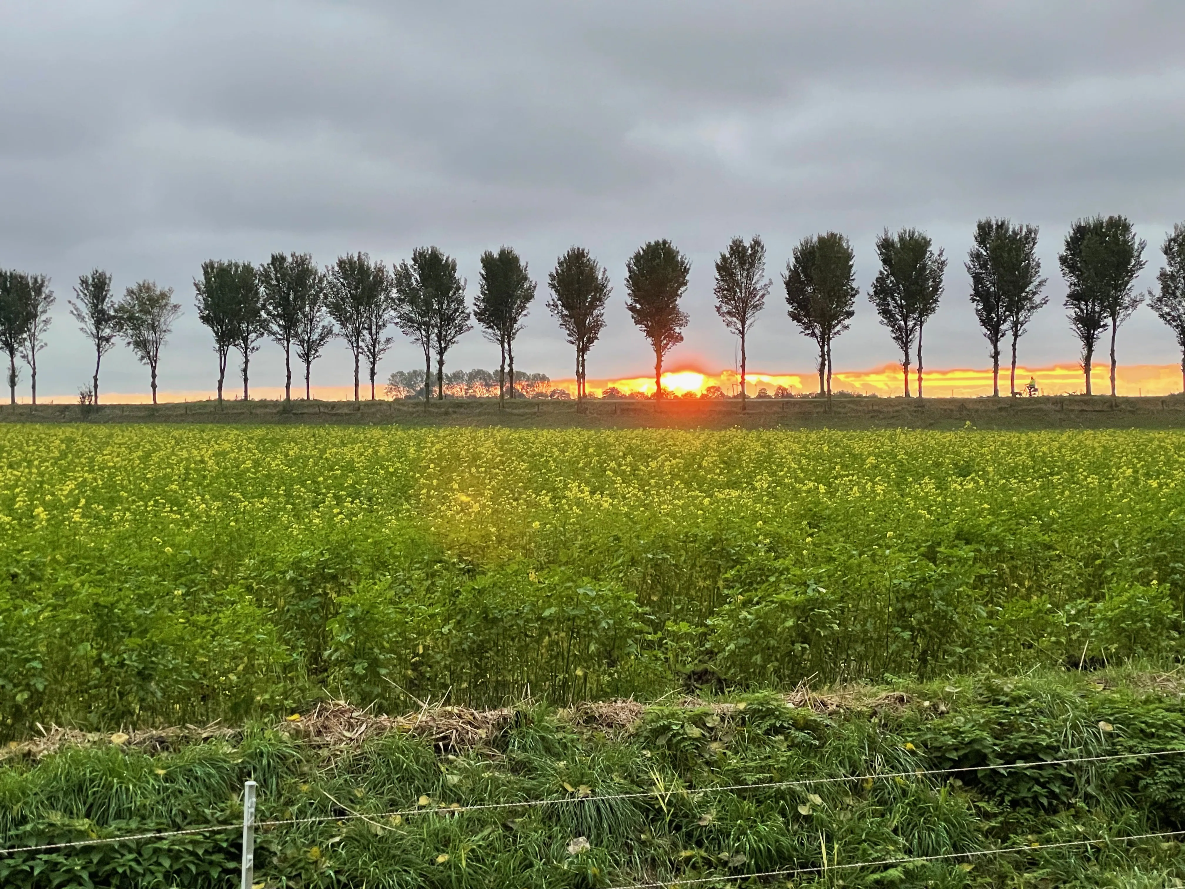Sundown